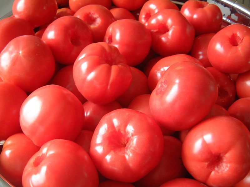 カムカムベジタブル　トマト　販売開始